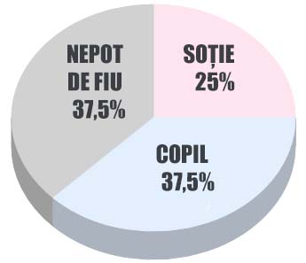 Cote succesiune copil, nepot de fiu, soție supraviețuitoare